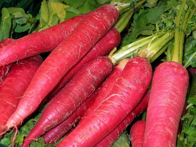 自然 植物 餌 食べ物 写真