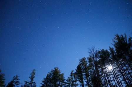 Foto Alam langit malam bintang