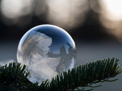 Foto Luz fotografia reflexão círculo