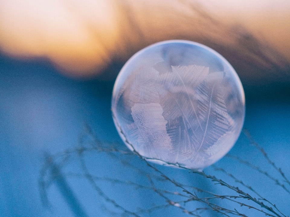 Acqua fotografia riflessione biologia