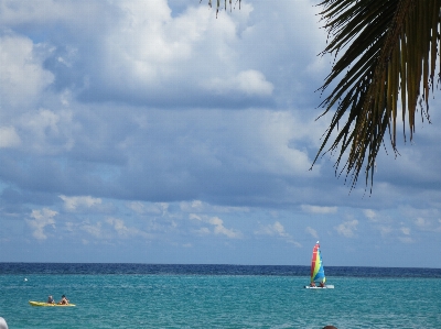 Beach sea coast water Photo