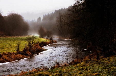 Landscape tree water nature Photo