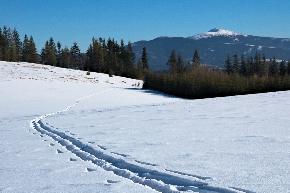 Nature montagne neige hiver