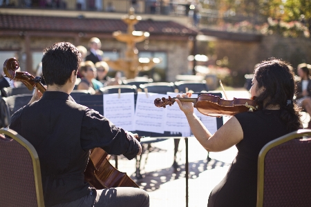 Music crowd concert musician Photo