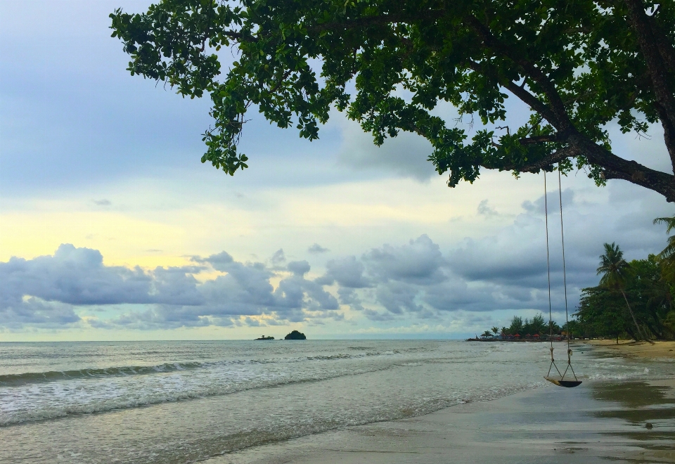 Beach landscape sea coast