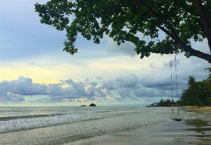 Beach landscape sea coast Photo