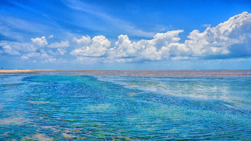 海滩 景观 海 海岸