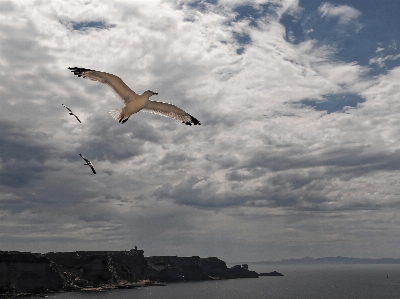 Sea coast nature ocean Photo