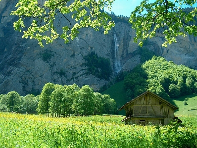 Landschaft baum natur wald Foto