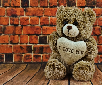 Sweet cute bear love Photo