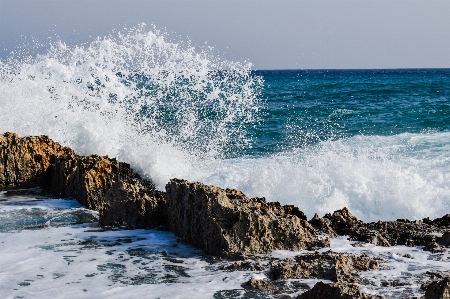 Beach sea coast water Photo