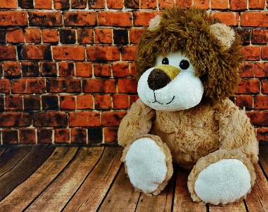 Play cute toy lion Photo