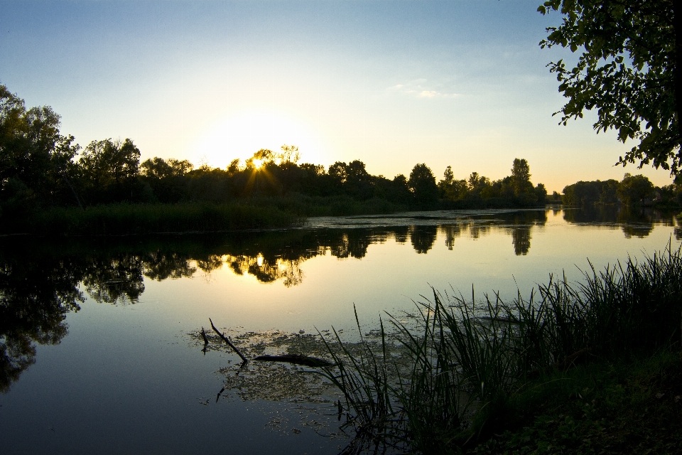 Plage paysage arbre eau