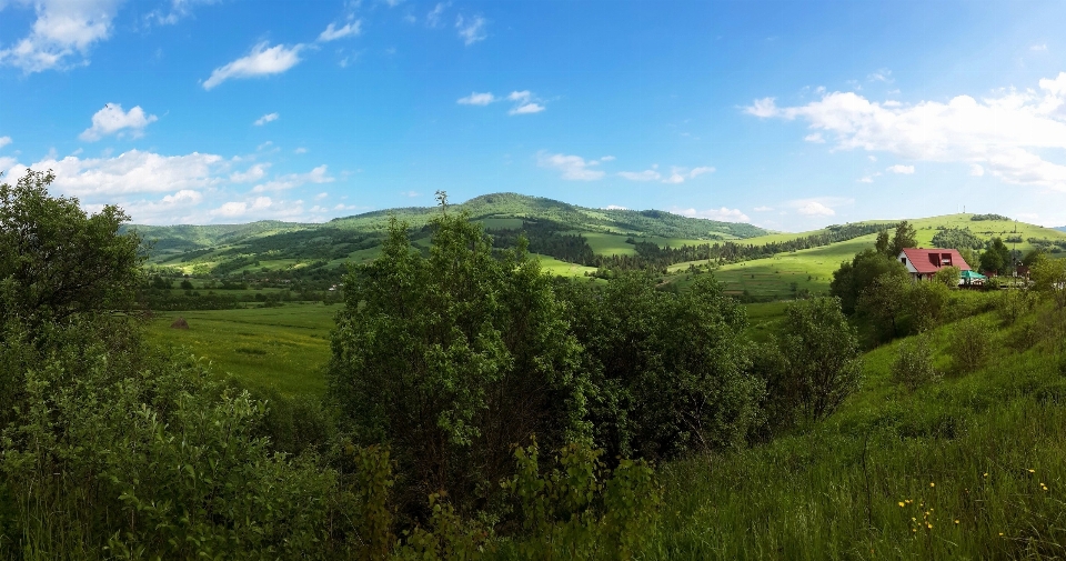 Paisagem natureza floresta montanha