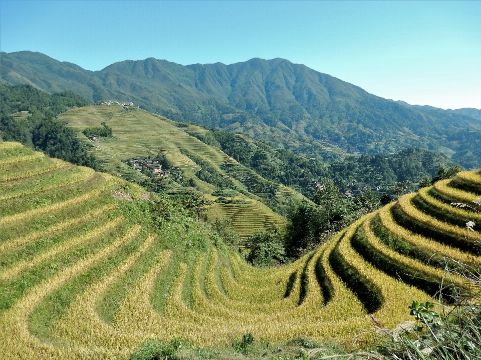 Landscape nature mountain field