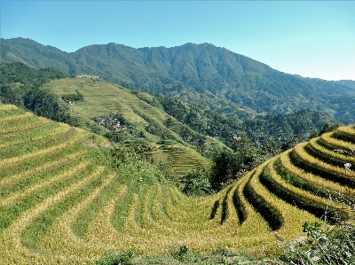 Landscape nature mountain field Photo