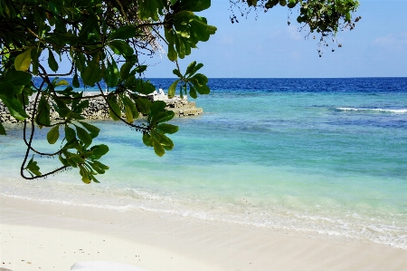 Beach sea coast water Photo