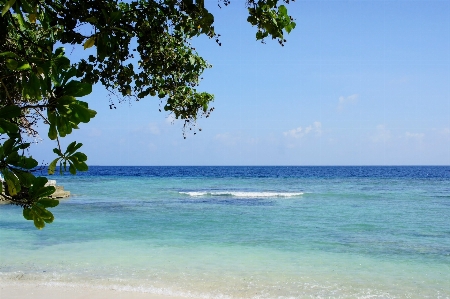 Beach sea coast water Photo