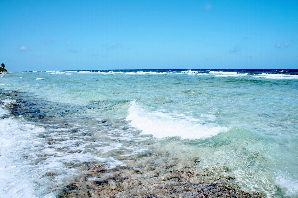 Beach sea coast water