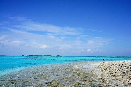 Beach sea coast water Photo