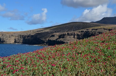 Landscape sea coast nature Photo