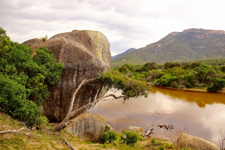 景观 树 自然 rock 照片