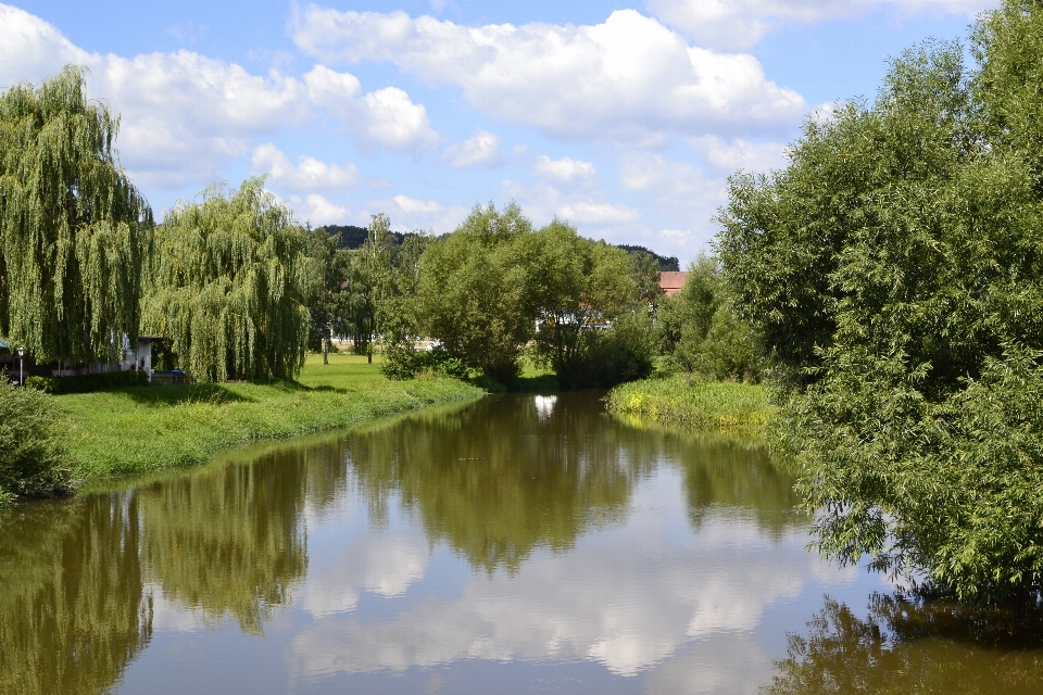 пейзаж дерево вода природа