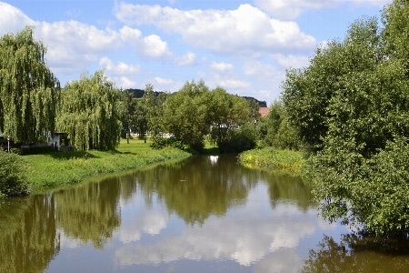 Landscape tree water nature Photo