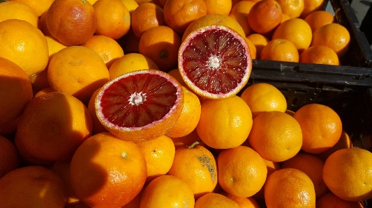 Foto Alam tanaman cahaya matahari buah