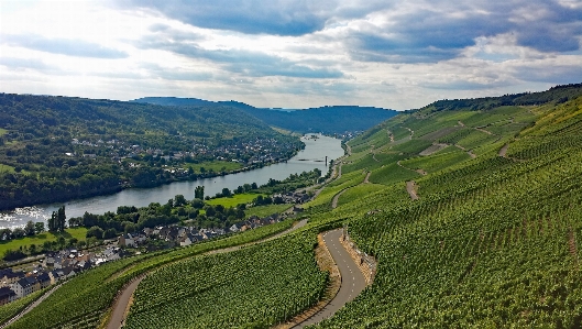 Landscape grass mountain wine Photo