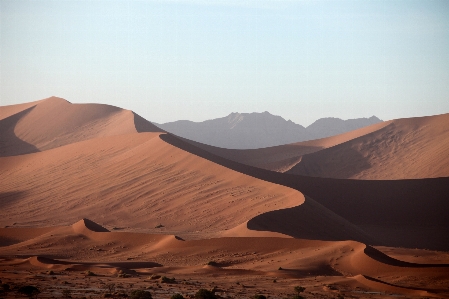 Landscape sand desert dune Photo