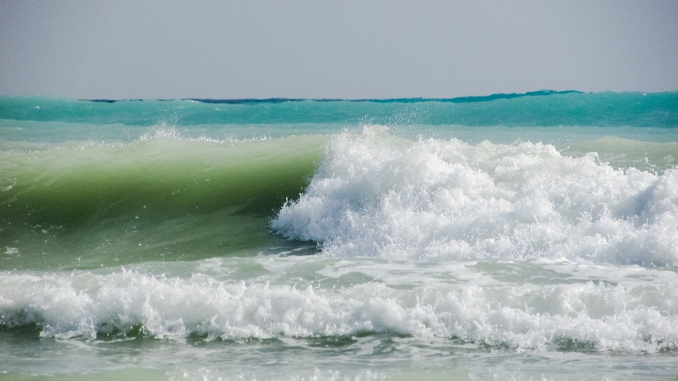 Beach sea coast water