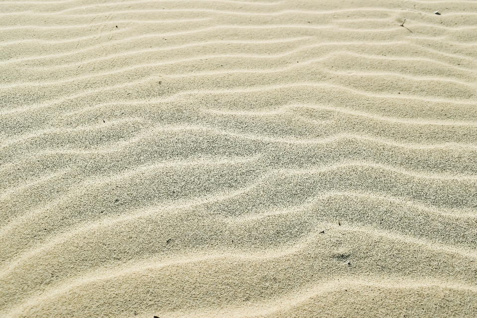 Spiaggia sabbia pavimento suolo