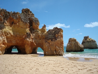 Beach sea coast nature Photo