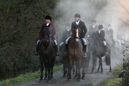 Outdoor winter mist countryside Photo