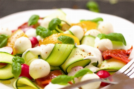 Anlage gericht essen salat Foto