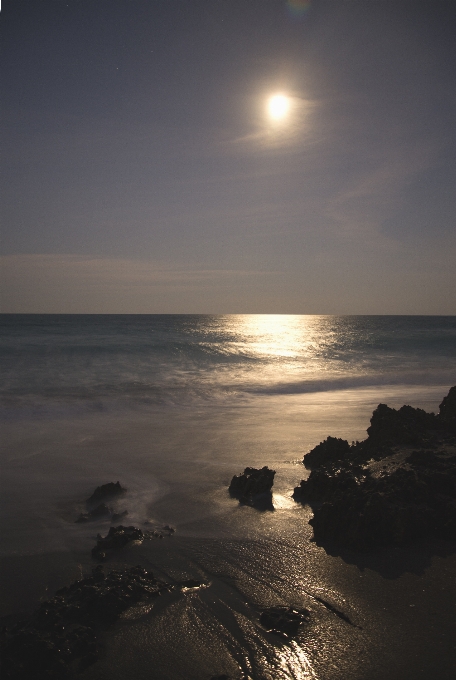 ビーチ 海 海岸 水