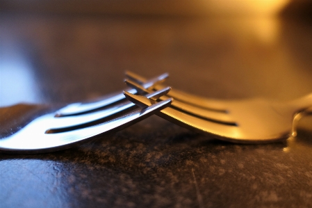 Fork cutlery metal close up Photo