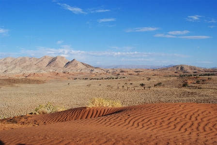 Landscape sand field prairie Photo