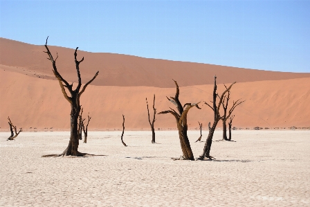 Beach landscape sand desert Photo