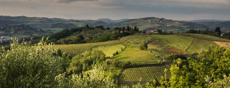 Landscape mountain vineyard field Photo