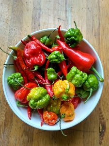 Foto Tanaman piring makanan salad