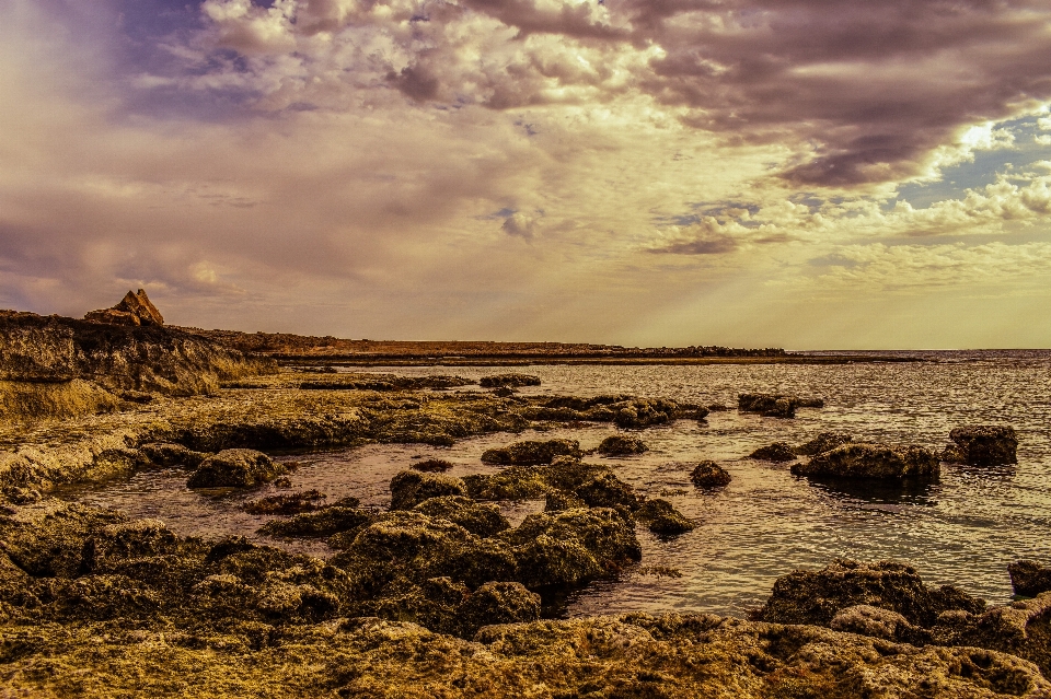 Praia paisagem mar costa