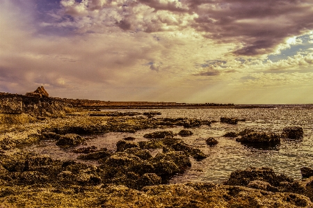 ビーチ 風景 海 海岸 写真