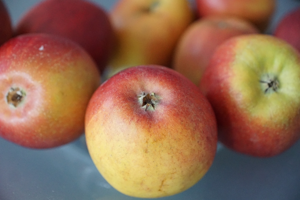 Apple usine fruit été