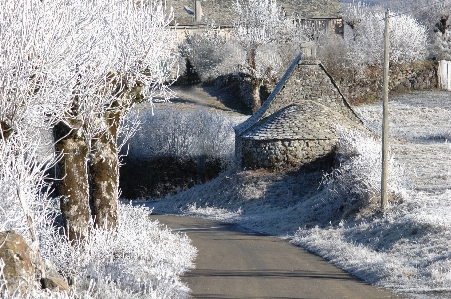 Foto Paisagem árvore água natureza