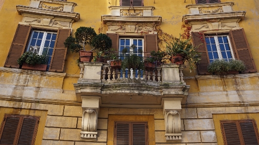 Architecture mansion house window Photo