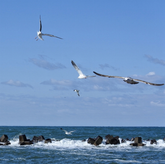 Beach landscape sea coast