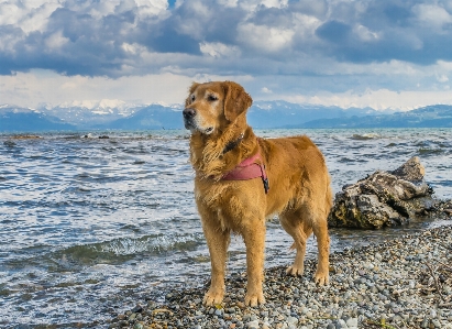 Foto Spiaggia mare inverno capelli