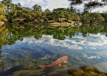 Photo Eau lac rivière étang